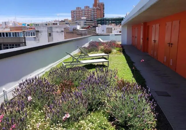 Zen Garden لاس بالماس دي غران كاناريا