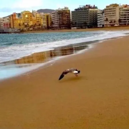 Zen Garden Appartamento Las Palmas de Gran Canaria