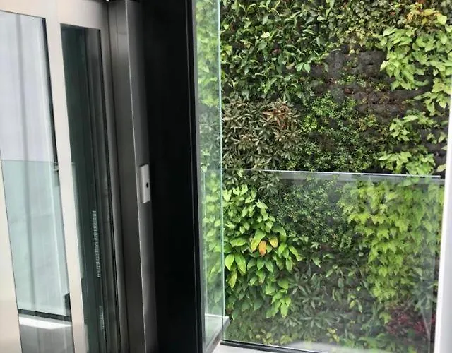 Zen Garden Las Palmas de Gran Canaria